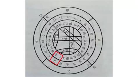 乙丑年|八字干支解读——乙丑：一组充满矛盾的干支，能弯能直，可柔可。